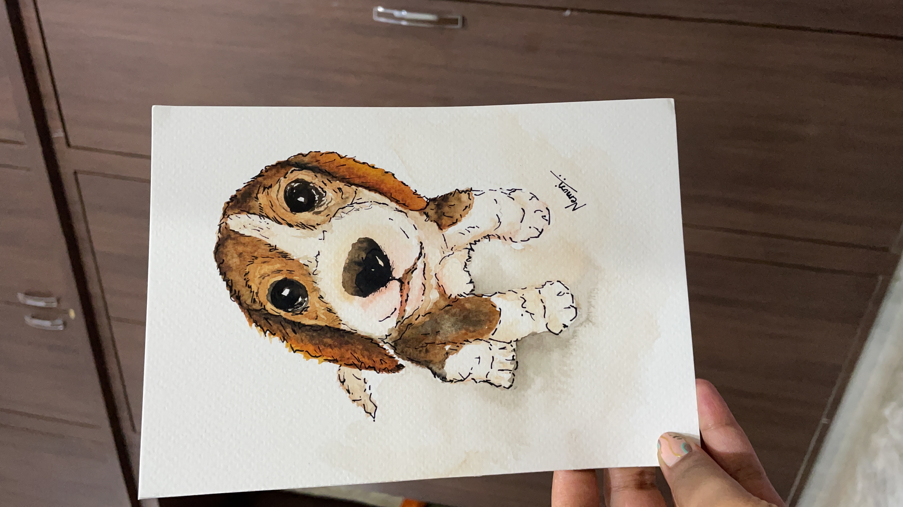 Beagle Companion